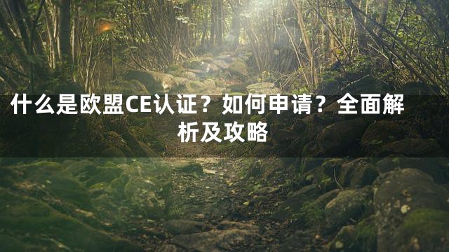 什么是欧盟CE认证？如何申请？全面解析及攻略