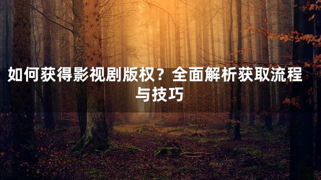 如何获得影视剧版权？全面解析获取流程与技巧