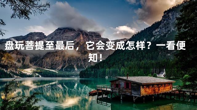 盘玩菩提至最后，它会变成怎样？一看便知！