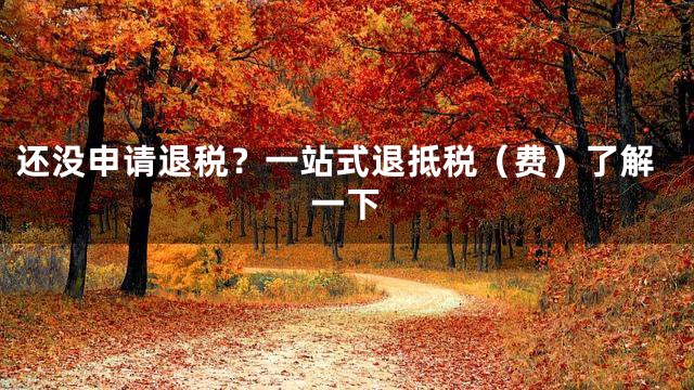 还没申请退税？一站式退抵税（费）了解一下