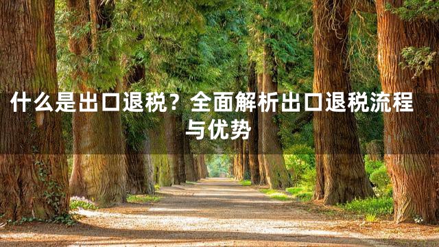 什么是出口退税？全面解析出口退税流程与优势