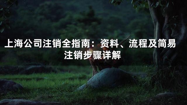 上海公司注销全指南：资料、流程及简易注销步骤详解