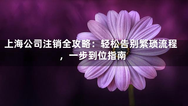 上海公司注销全攻略：轻松告别繁琐流程，一步到位指南