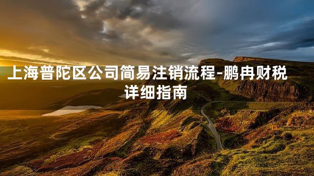上海普陀区公司简易注销流程-鹏冉财税详细指南