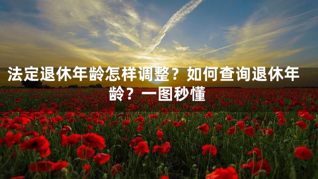 法定退休年龄怎样调整？如何查询退休年龄？一图秒懂