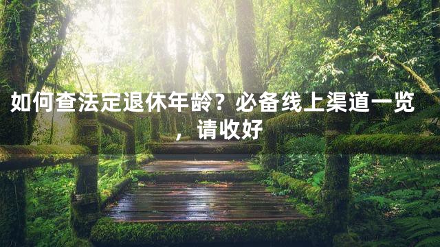 如何查法定退休年龄？必备线上渠道一览，请收好