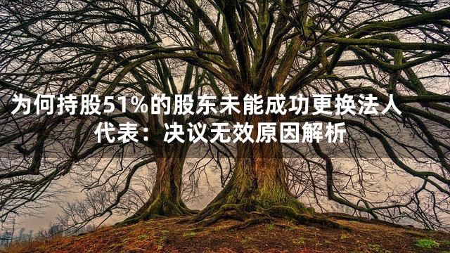 为何持股51%的股东未能成功更换法人代表：决议无效原因解析