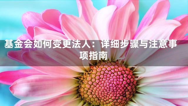 基金会如何变更法人：详细步骤与注意事项指南