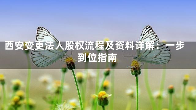 西安变更法人股权流程及资料详解：一步到位指南