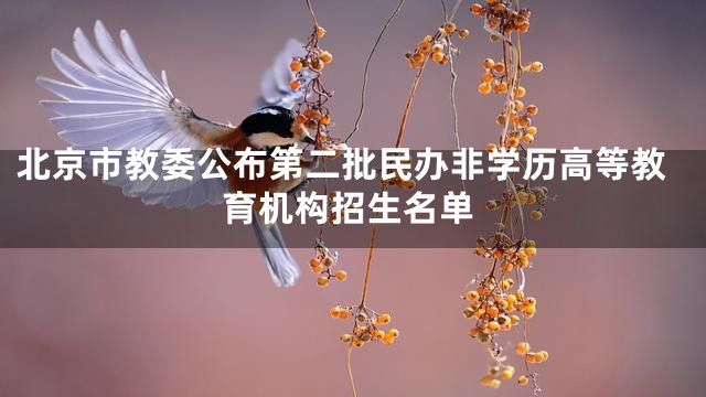 北京市教委公布第二批民办非学历高等教育机构招生名单