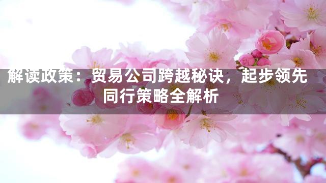 解读政策：贸易公司跨越秘诀，起步领先同行策略全解析