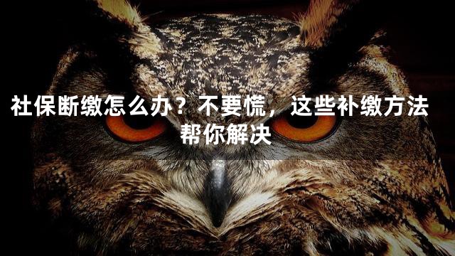 社保断缴怎么办？不要慌，这些补缴方法帮你解决