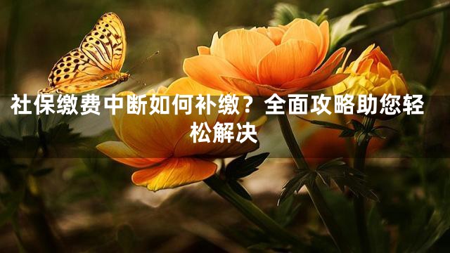 社保缴费中断如何补缴？全面攻略助您轻松解决
