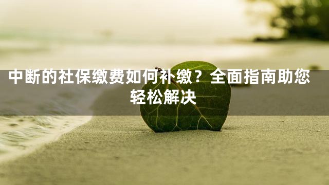 中断的社保缴费如何补缴？全面指南助您轻松解决