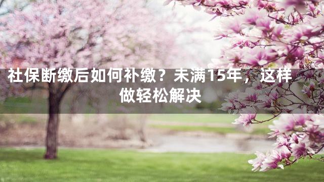 社保断缴后如何补缴？未满15年，这样做轻松解决