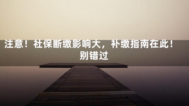 注意！社保断缴影响大，补缴指南在此！别错过