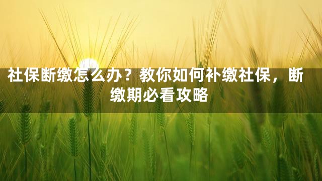 社保断缴怎么办？教你如何补缴社保，断缴期必看攻略