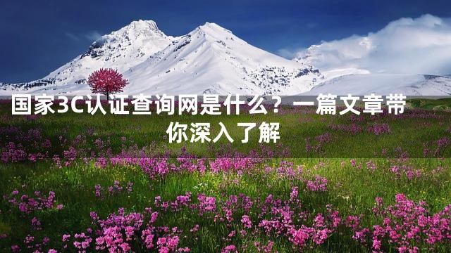 国家3C认证查询网是什么？一篇文章带你深入了解