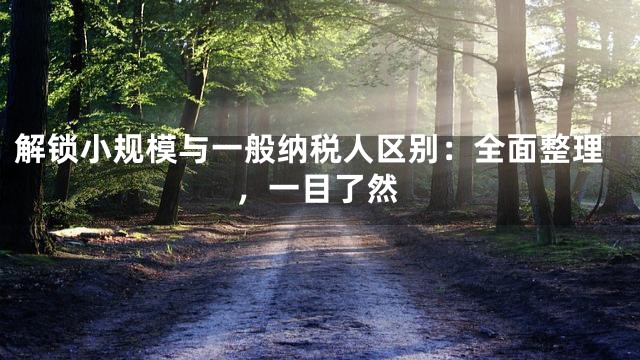 解锁小规模与一般纳税人区别：全面整理，一目了然