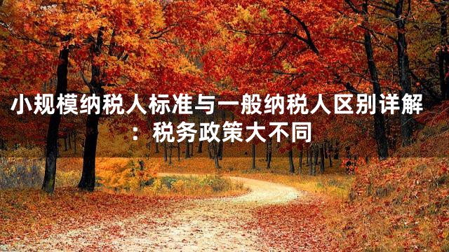 小规模纳税人标准与一般纳税人区别详解：税务政策大不同