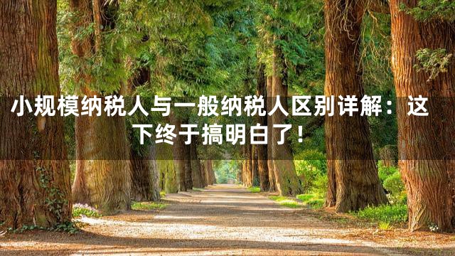 小规模纳税人与一般纳税人区别详解：这下终于搞明白了！