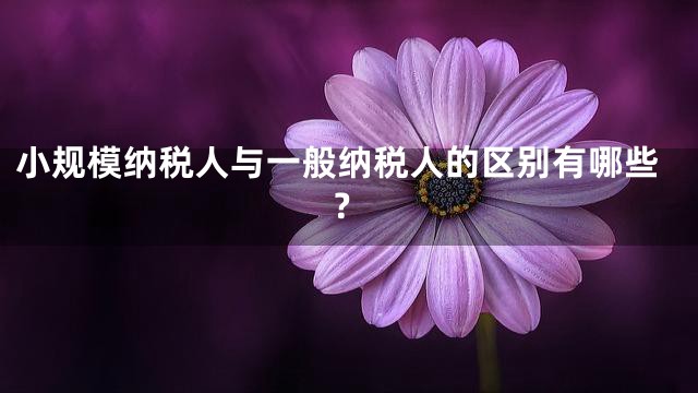小规模纳税人与一般纳税人的区别有哪些？