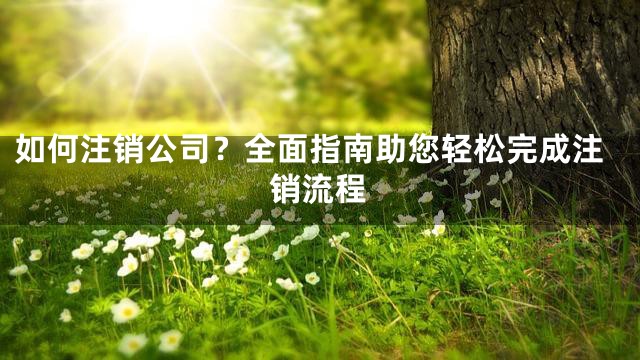 如何注销公司？全面指南助您轻松完成注销流程