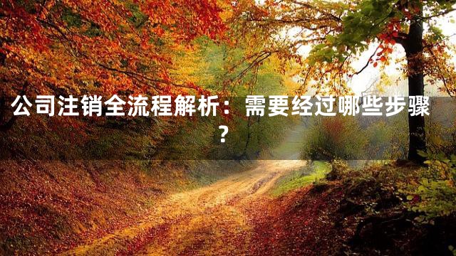 公司注销全流程解析：需要经过哪些步骤？