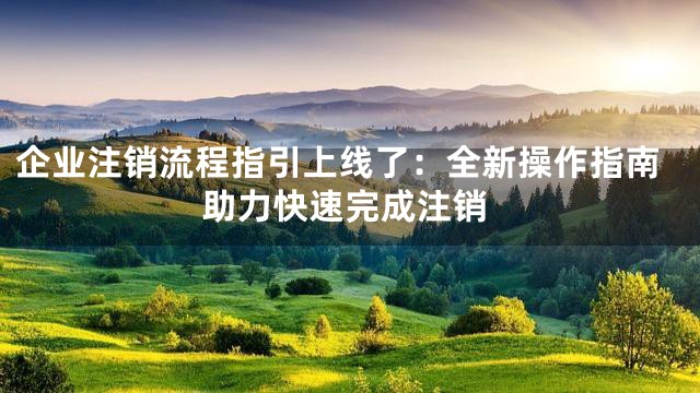 企业注销流程指引上线了：全新操作指南助力快速完成注销
