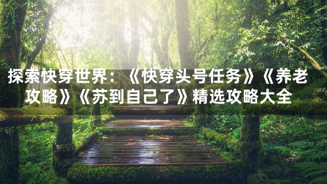 探索快穿世界：《快穿头号任务》《养老攻略》《苏到自己了》精选攻略大全