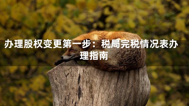 办理股权变更第一步：税局完税情况表办理指南