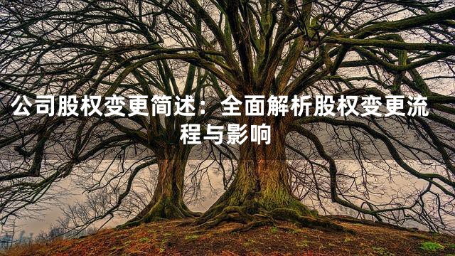 公司股权变更简述：全面解析股权变更流程与影响