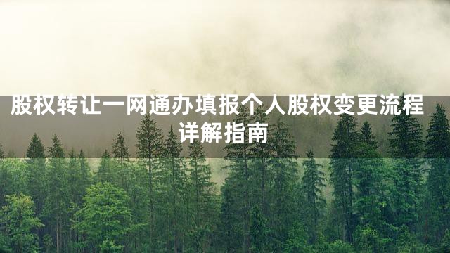 股权转让一网通办填报个人股权变更流程详解指南