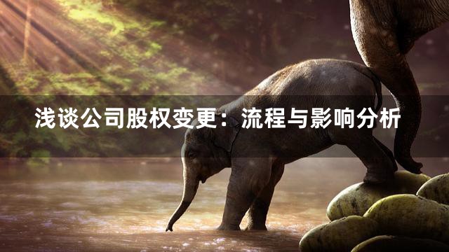 浅谈公司股权变更：流程与影响分析
