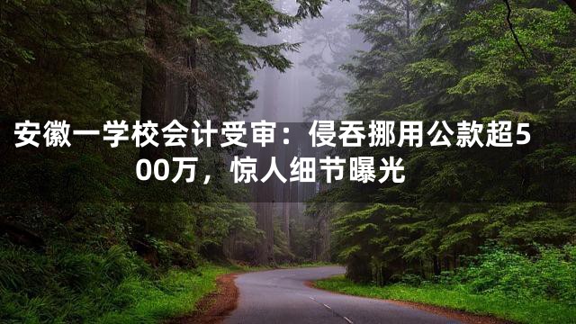 安徽一学校会计受审：侵吞挪用公款超500万，惊人细节曝光