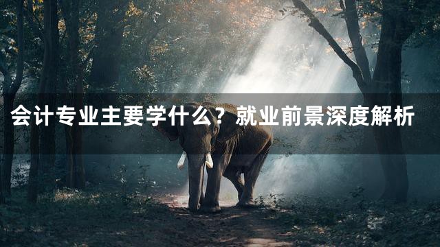 会计专业主要学什么？就业前景深度解析