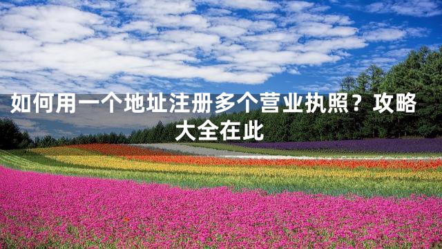 如何用一个地址注册多个营业执照？攻略大全在此