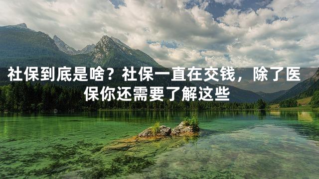 社保到底是啥？社保一直在交钱，除了医保你还需要了解这些