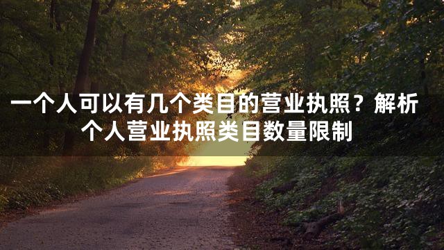 一个人可以有几个类目的营业执照？解析个人营业执照类目数量限制