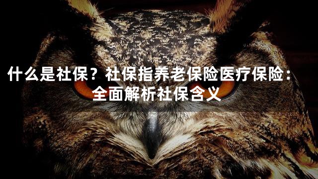 什么是社保？社保指养老保险医疗保险：全面解析社保含义