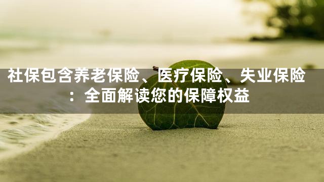 社保包含养老保险、医疗保险、失业保险：全面解读您的保障权益