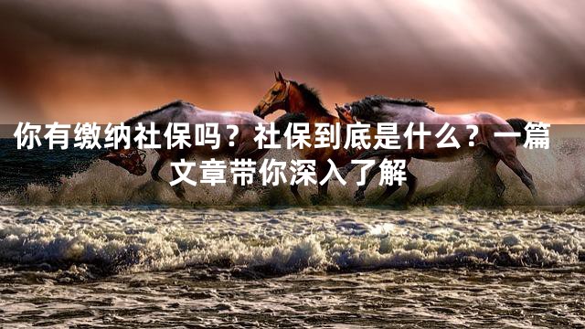 你有缴纳社保吗？社保到底是什么？一篇文章带你深入了解
