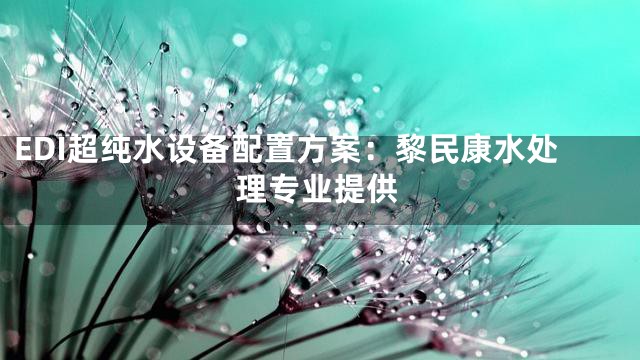 EDI超纯水设备配置方案：黎民康水处理专业提供