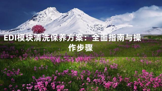 EDI模块清洗保养方案：全面指南与操作步骤