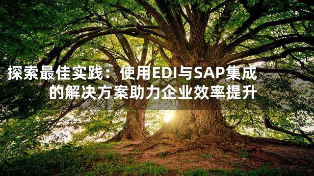 探索最佳实践：使用EDI与SAP集成的解决方案助力企业效率提升