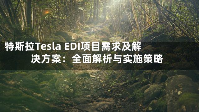 特斯拉Tesla EDI项目需求及解决方案：全面解析与实施策略
