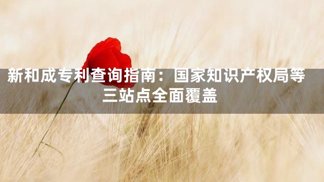 新和成专利查询指南：国家知识产权局等三站点全面覆盖
