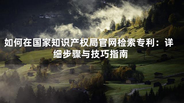 如何在国家知识产权局官网检索专利：详细步骤与技巧指南