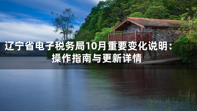辽宁省电子税务局10月重要变化说明：操作指南与更新详情