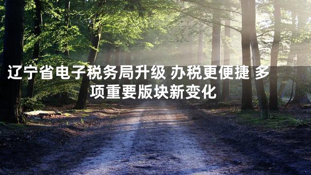 辽宁省电子税务局升级 办税更便捷 多项重要版块新变化